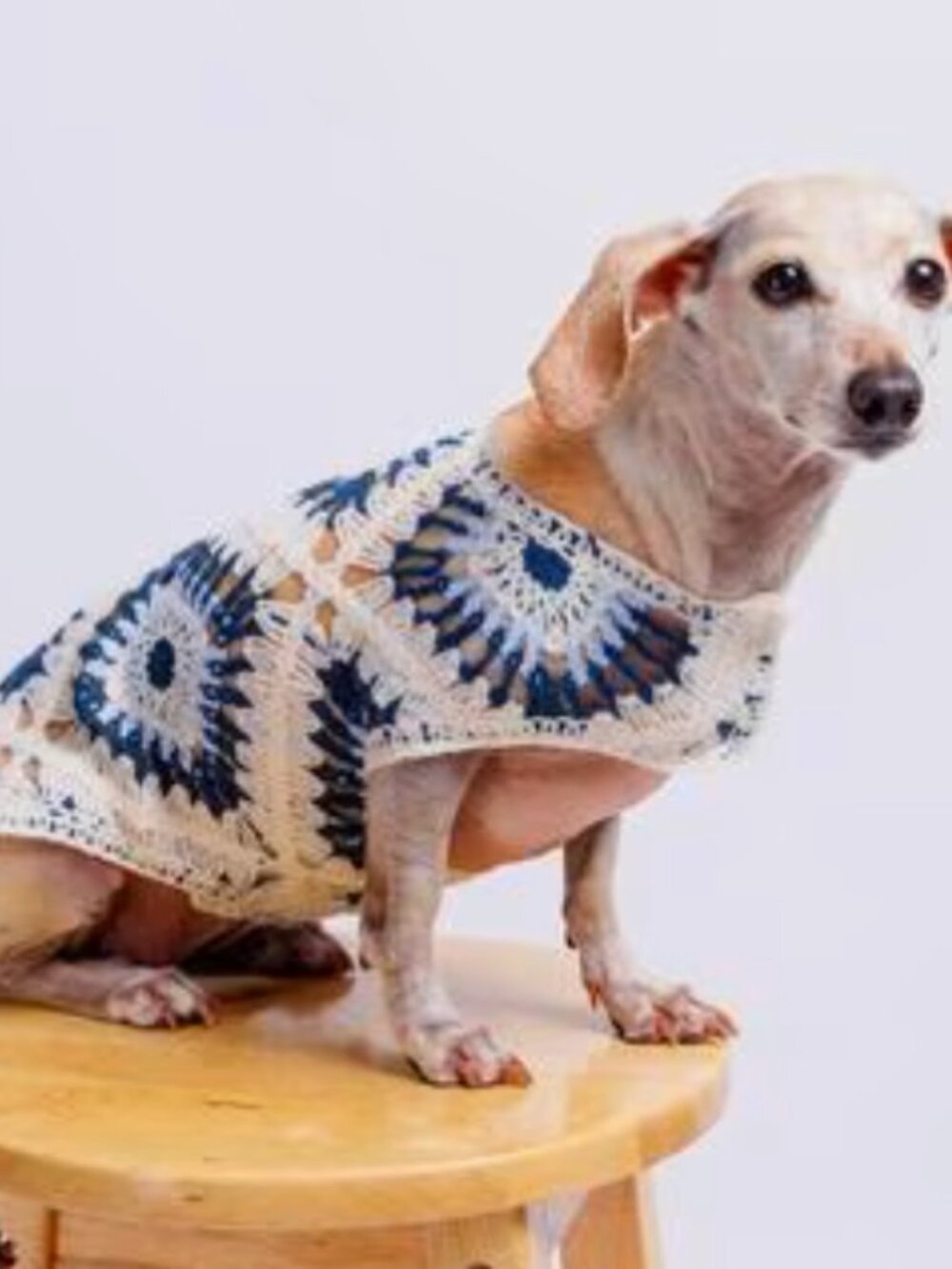 PETS: DOG CROCHET SHIRT - BLUE DIAMONDS - Picture 4 of 16